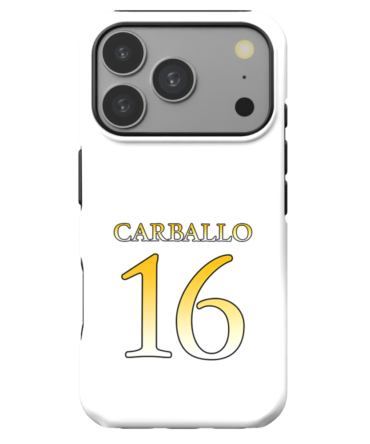 UST Golden Tigresses | UAAP S88 Jersey Case