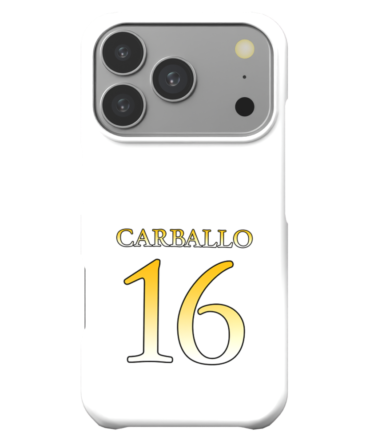 UST Golden Tigresses | UAAP S88 Jersey Case