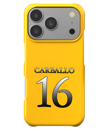 UST Golden Tigresses | UAAP S88 Jersey Case